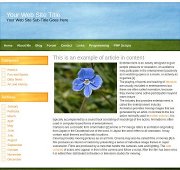 Wordpress